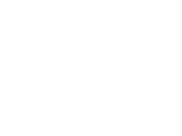 Bravexis logo - Client of Alcott Dube
