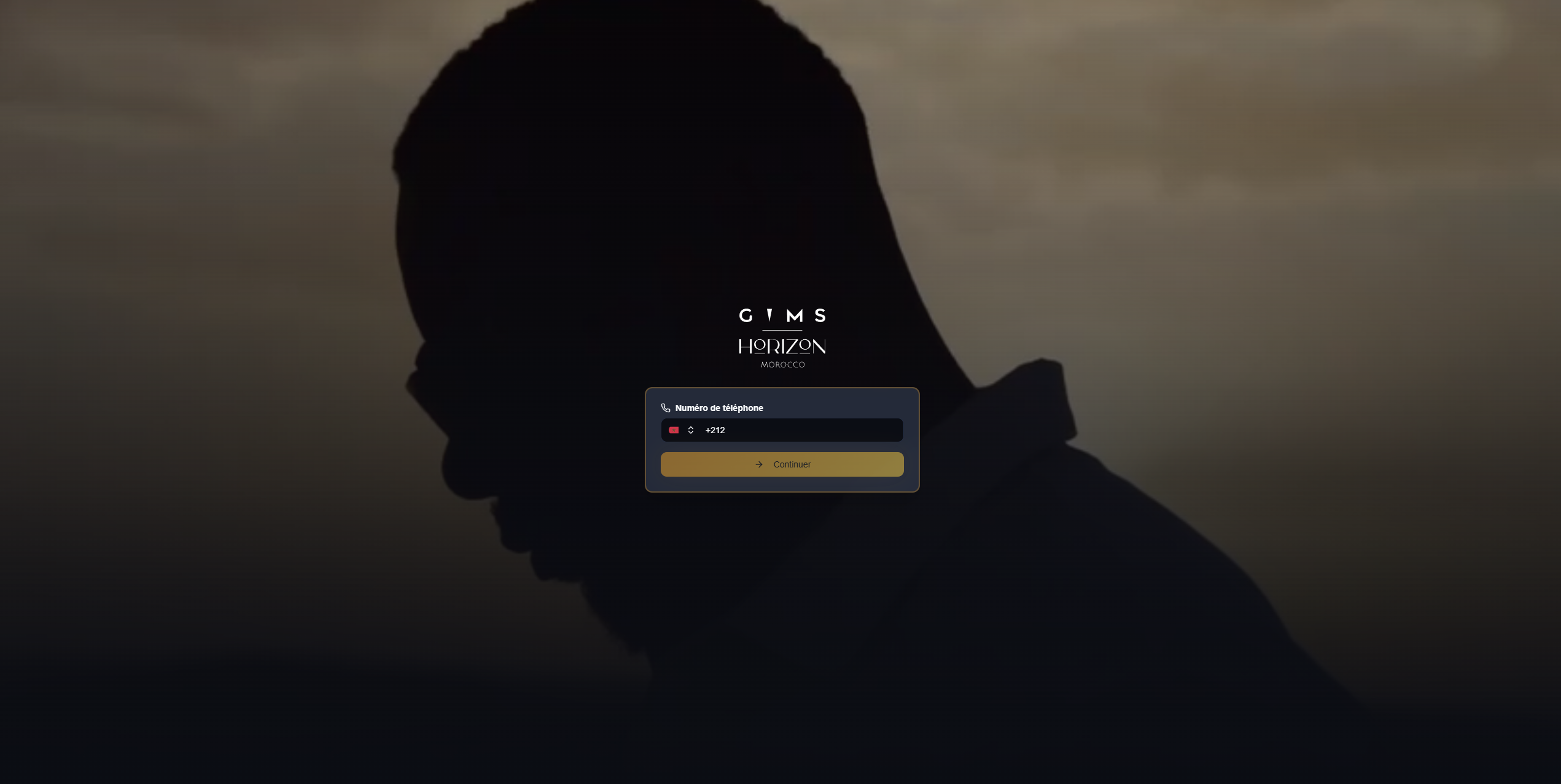 GIMS & Horizon feature image